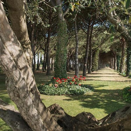 Hotel El Moli سانت بير بيسكادور المظهر الخارجي الصورة