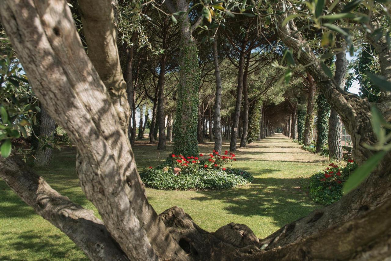 Hotel El Moli سانت بير بيسكادور المظهر الخارجي الصورة